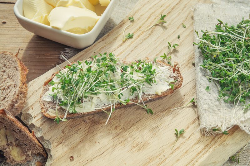 Warum und wie man Sprossen isst - Rezepte