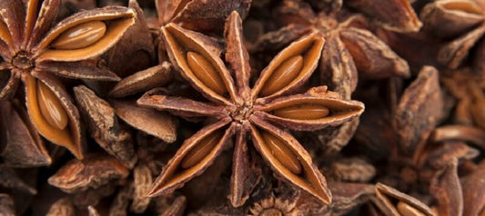 Die Geschichte des Anis - ein Gewürz, das von den alten Griechen, Chinesen, Ägyptern und Inkas geschätzt wurde