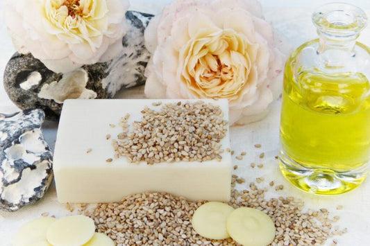 Was sind und was Eigenschaften haben Saponine ?