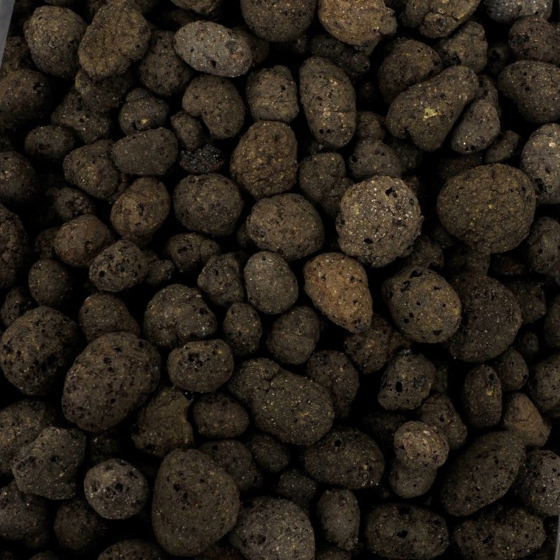 4fe29a97a1c359d6fe4639bf0ff869ca