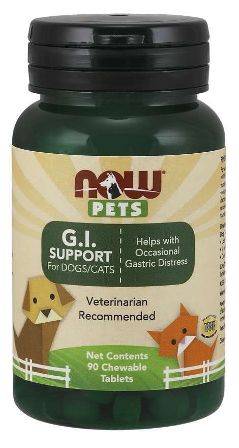 G.I. Support für Hunde und Katzen in Tablettenform, von NOW Pets, hilft die Verdauung und das Wohlbefinden bei Haustieren.