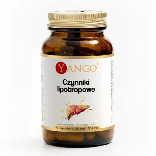 Yango Lipotrope Mittel 90 K, Flasche mit flüssigem Nahrungsergänzungsmittel zur Unterstützung der Fettverbrennung, gebrauchsfertig