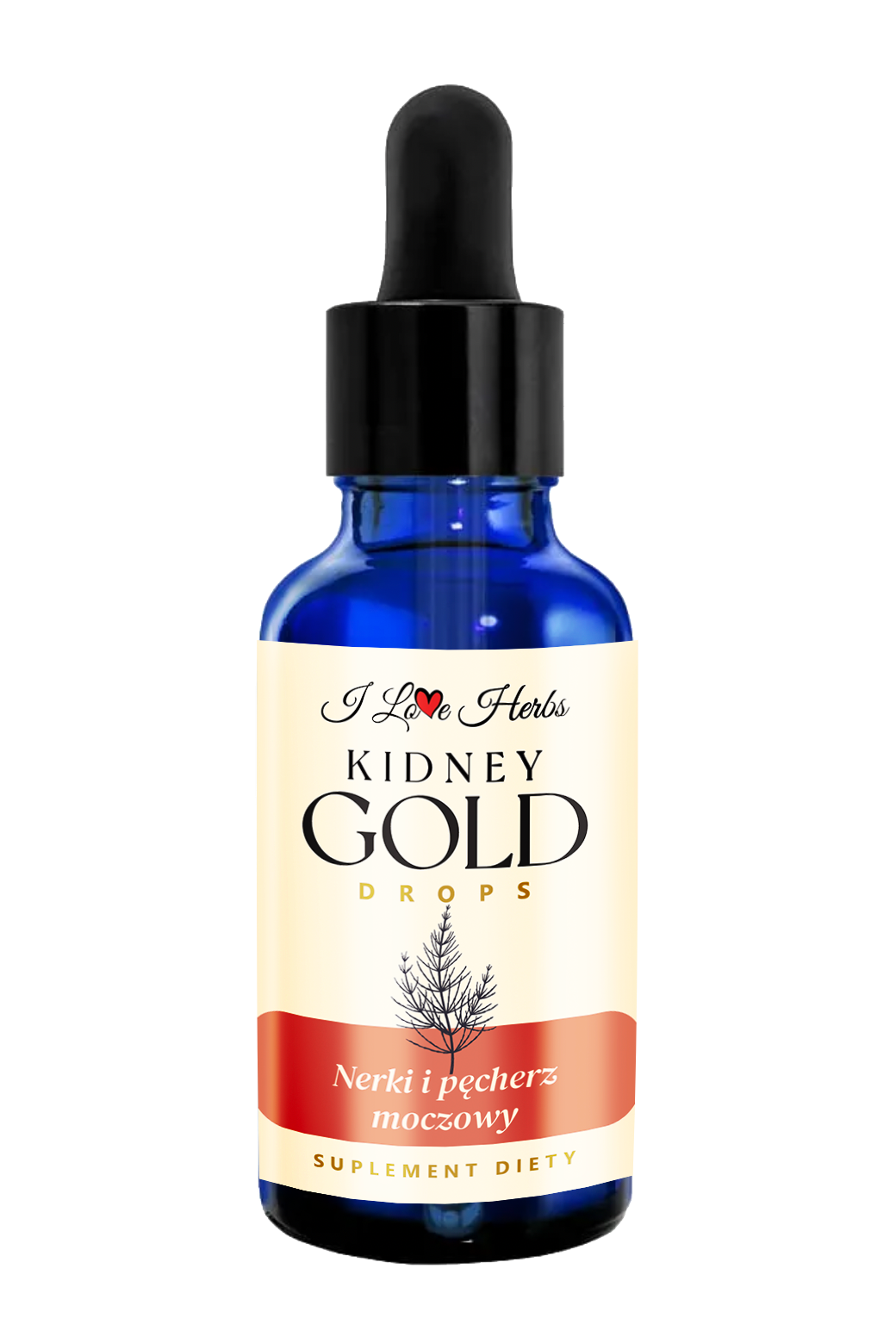 503580a54055ee874e4eaafaff132b92