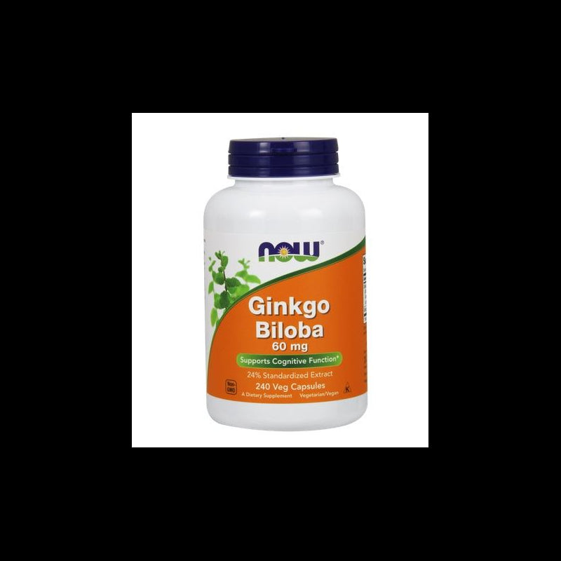 Ginkgo biloba Japanischer Ginkgo-Extrakt 240 Kapseln NOW FOODS