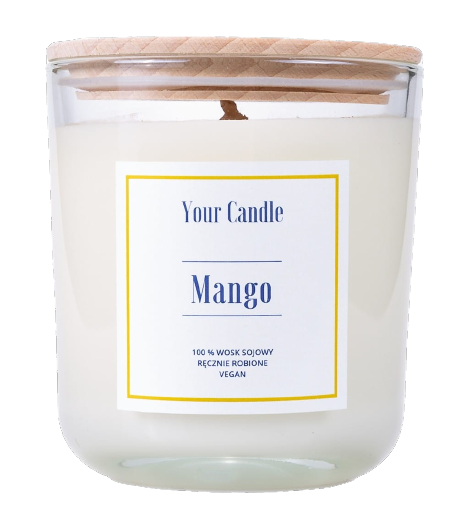 Mango Sojakerze 210 ml - IHRE KERZE - Biogo.de