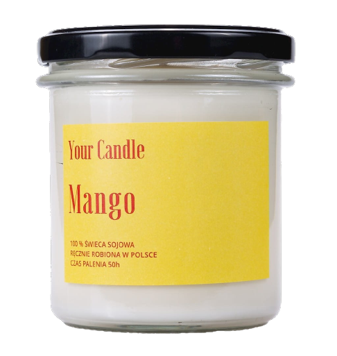 Mango Sojakerze 300 ml - IHRE KERZE - Biogo.de