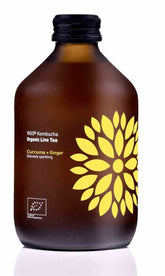 Kombucha Kurkuma + Ingwer BIO 330 ml - Biogo.de