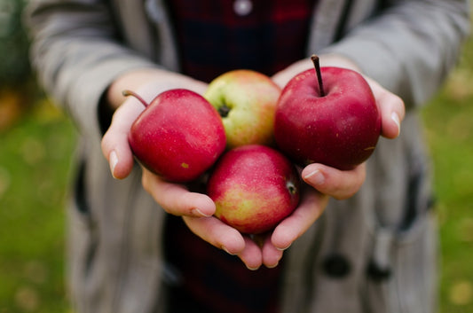 Saisonale Früchte – warum lohnt es sich, Äpfel zu essen?
