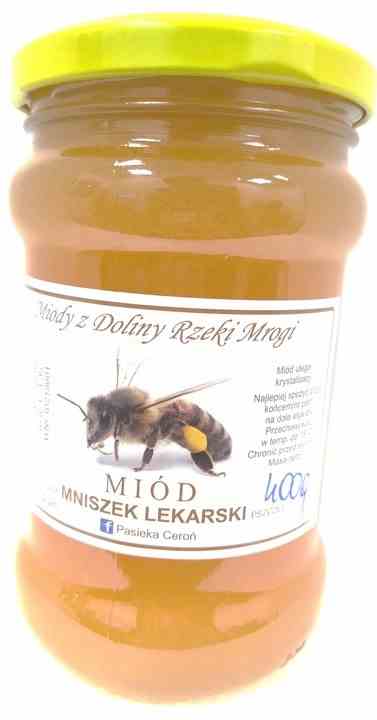 Löwenzahnhonig von CEROŃ in 400 g Glas, cremige Konsistenz, natürlicher Bienenhonig aus Löwenzahnblüten.