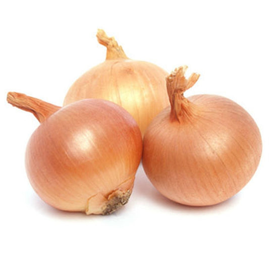 e2c726b8a1646acde2b5c69517a49901