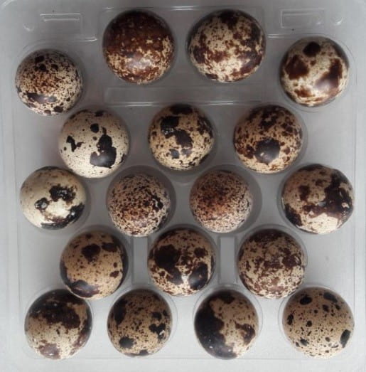 Wachteleier 18 Stk. EKOWITAL Hauptbild