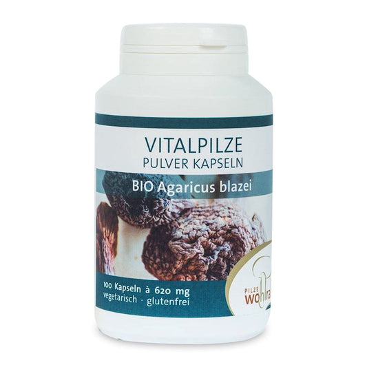 Agaricus blazei Pilze (Brasilianischer Pilz) BIO 100 Kapseln (620 mg) - WOHLRAB FILME