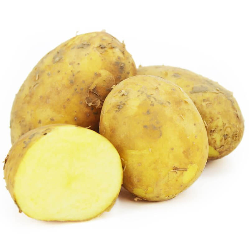 Gelbe, junge, frische Kartoffeln BIO (polnisch) (ca. 2,00 kg)