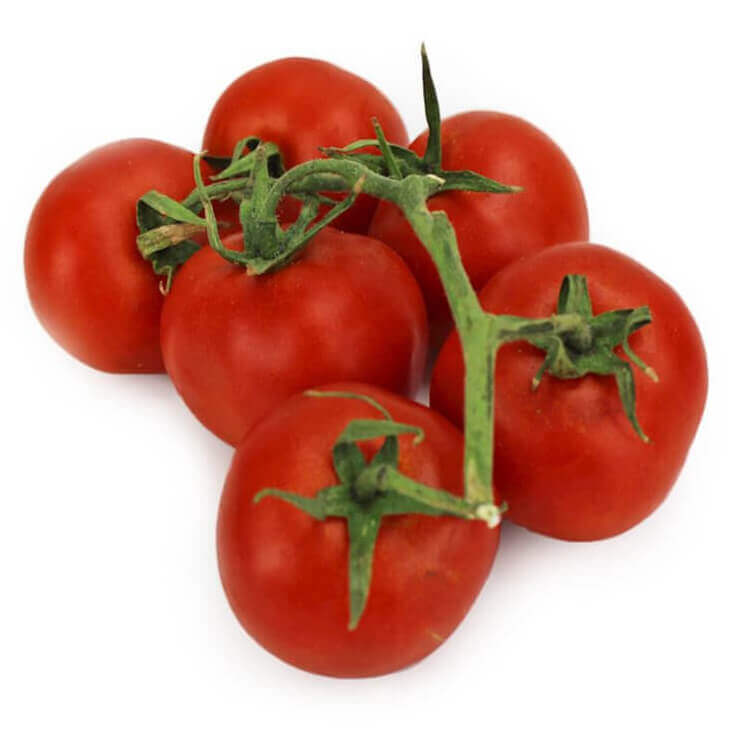 Großpackung (kg) - frische Tomaten am Zweig BIO (ca. 5 kg) Imagem principal do produto