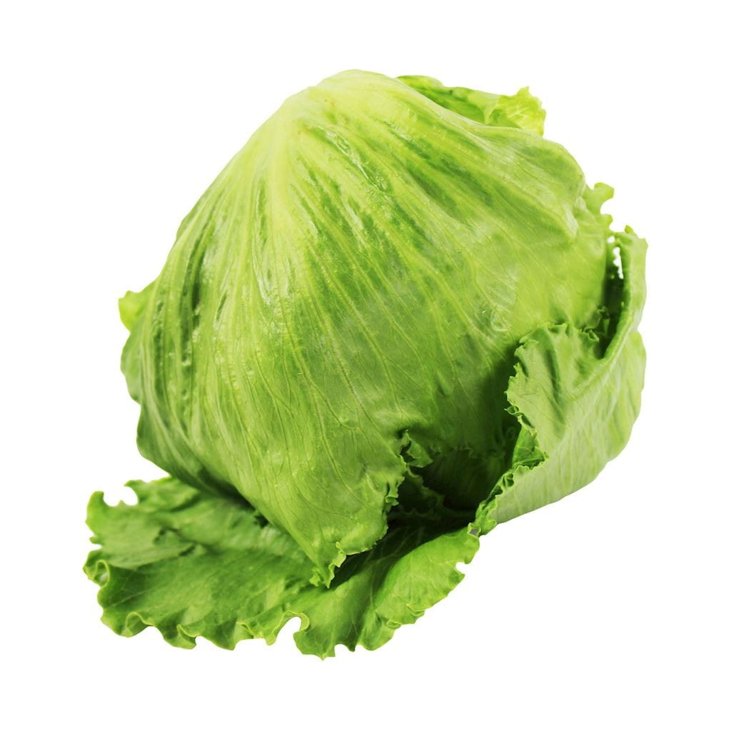 Sammelpackung (Stk) - frischer Eisbergsalat BIO (polnisch) (ca. 5 Stk) Hauptbild