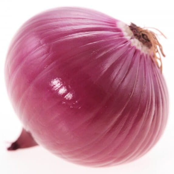 Frische rote Zwiebel BIO (ca. 1 kg) Imagem principal do produto