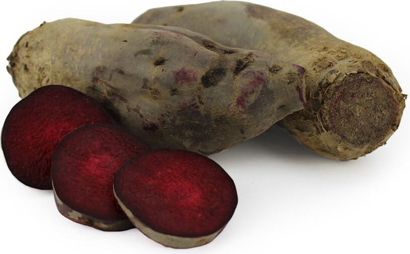 Großpackung (kg) - frische längliche Rote Bete BIO (polnisch) (ca. 5 kg) Imagem principal do produto