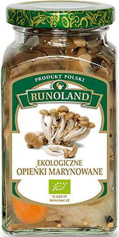 Marinierte Champignons BIO 300 g - RUNOLAND