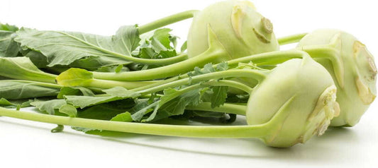 Frischer, bio Kohlrabi von BIO PLANET, ca. 300 g, mit grüner Schale und knackigem Inneren, auf einem Holztisch liegend