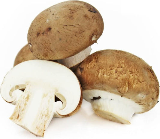 Bio Braune Pilze im Multipack, ca. 3 kg, frische Bio-Lebensmittel von BIO PLANET, geerntet und verpackt für den Verkauf