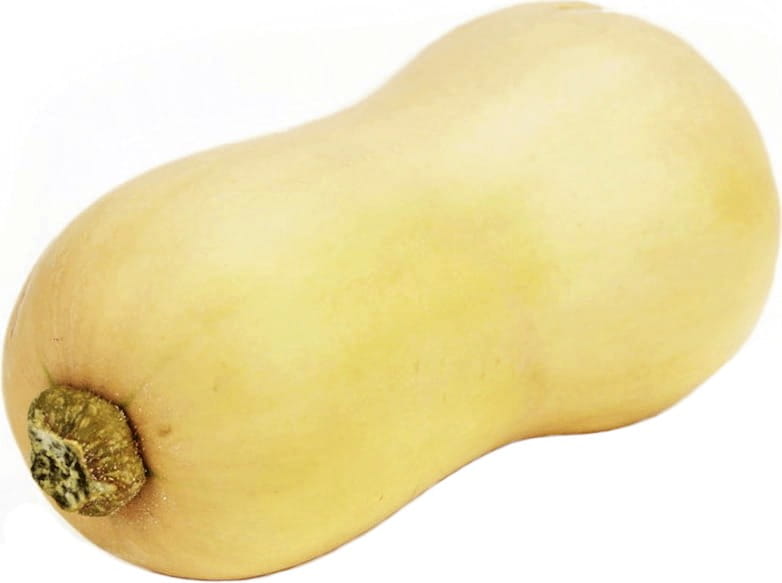 Großgebinde (kg) - Butternut Butternusskürbis frisch BIO (ca. 10 kg) Immagine principale del prodotto