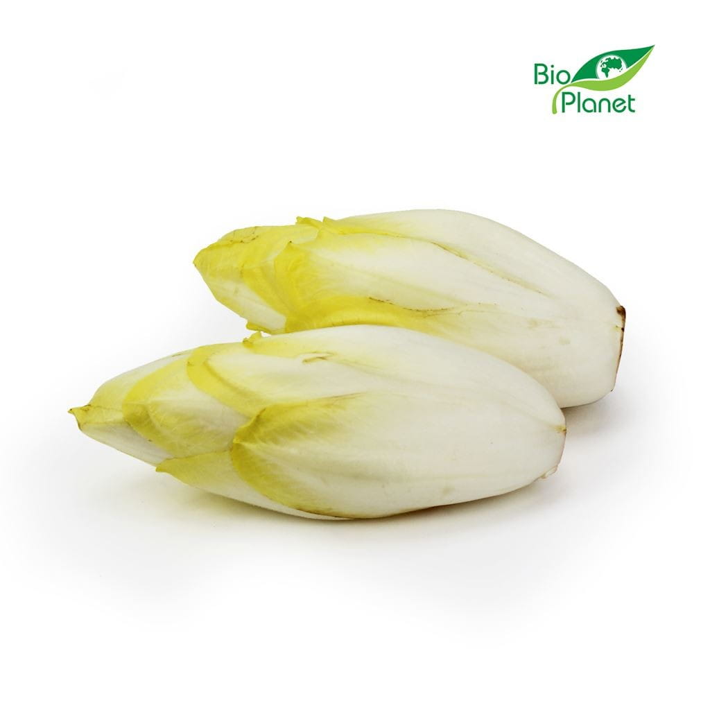 Sammelpackung (kg) - frischer BIO-Chicorée (ca. 25 kg) Hauptbild