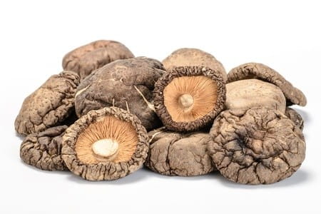 Shiitake (getrocknete Pilze) BIO (Rohware) (10 kg) 4