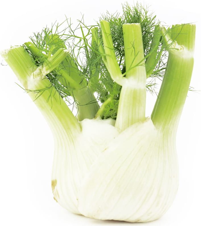 Frischer Fenchel (Fenchel) BIO (ca. 0,50 kg)