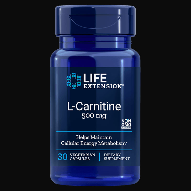Lcarnitin 30 Kapseln LEBENSVERLÄNGERUNG