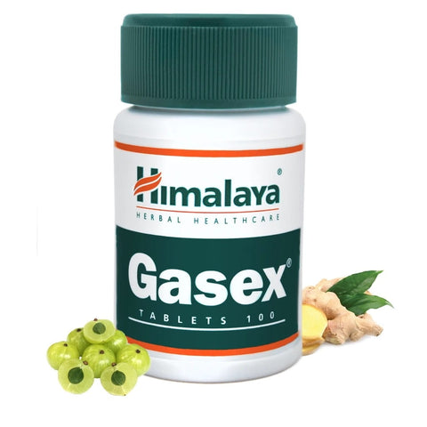 Gasex 100 HIMALAYA-Tabletten
