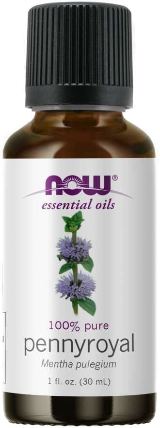 Pennyroyal-Öl in 30 ml Flasche von NOW FOODS, biologisches ätherisches Öl mit grünem Pennyroyal-Blatt auf dunklem Hintergrund