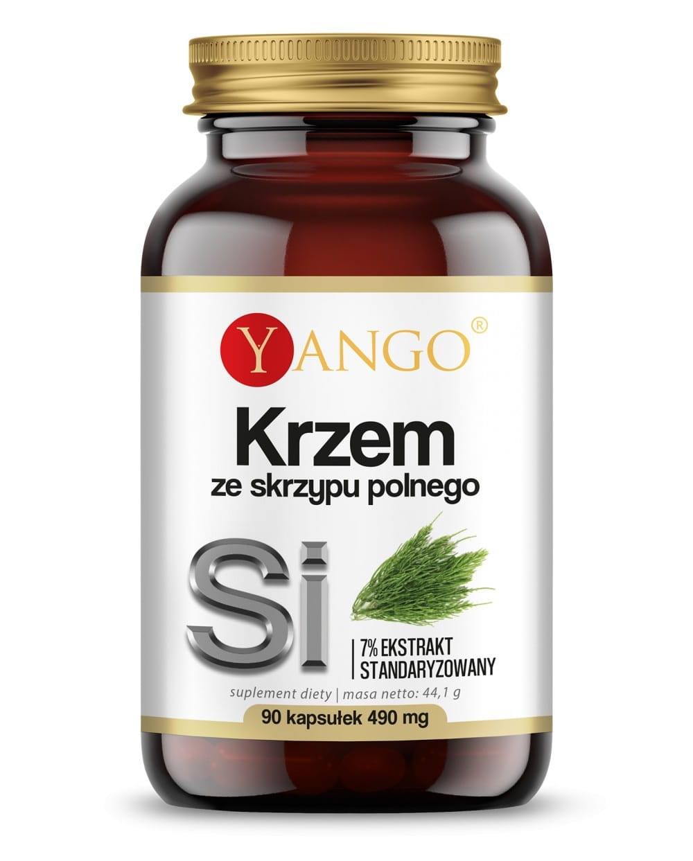 Schachtelhalm-Silizium 90 Yango-Kapseln Pääkuva