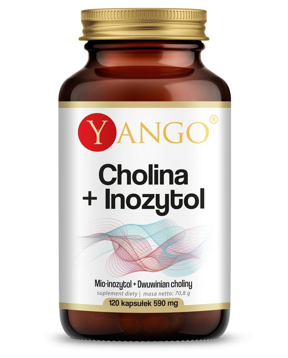 Cholin + Inositol 120 Kapseln YAGO