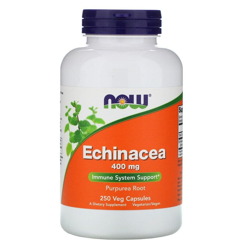 Echinacea lila Echinacea 250 Kapseln NOW FOODS